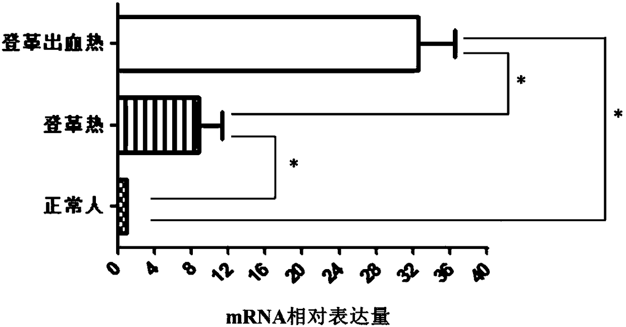 Differential marker for diagnosis of dengue fever and dengue hemorrhagic fever