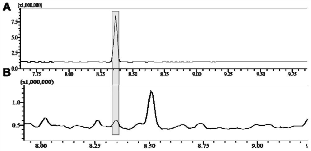 Method for improving verticillium dahliae resistance of plant by utilizing AtALA7 gene