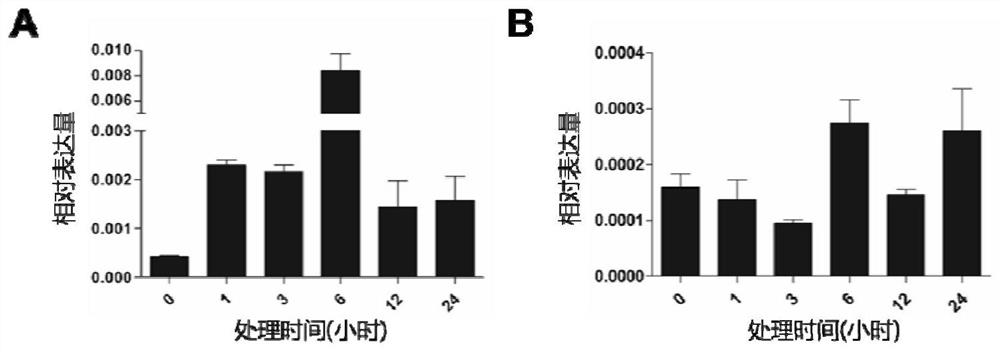 Method for improving verticillium dahliae resistance of plant by utilizing AtALA7 gene