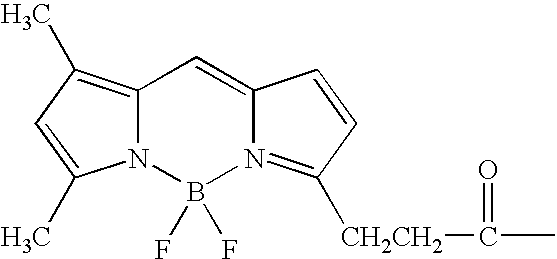 Nucleotide compositions comprising photocleavable markers and methods of preparation thereof