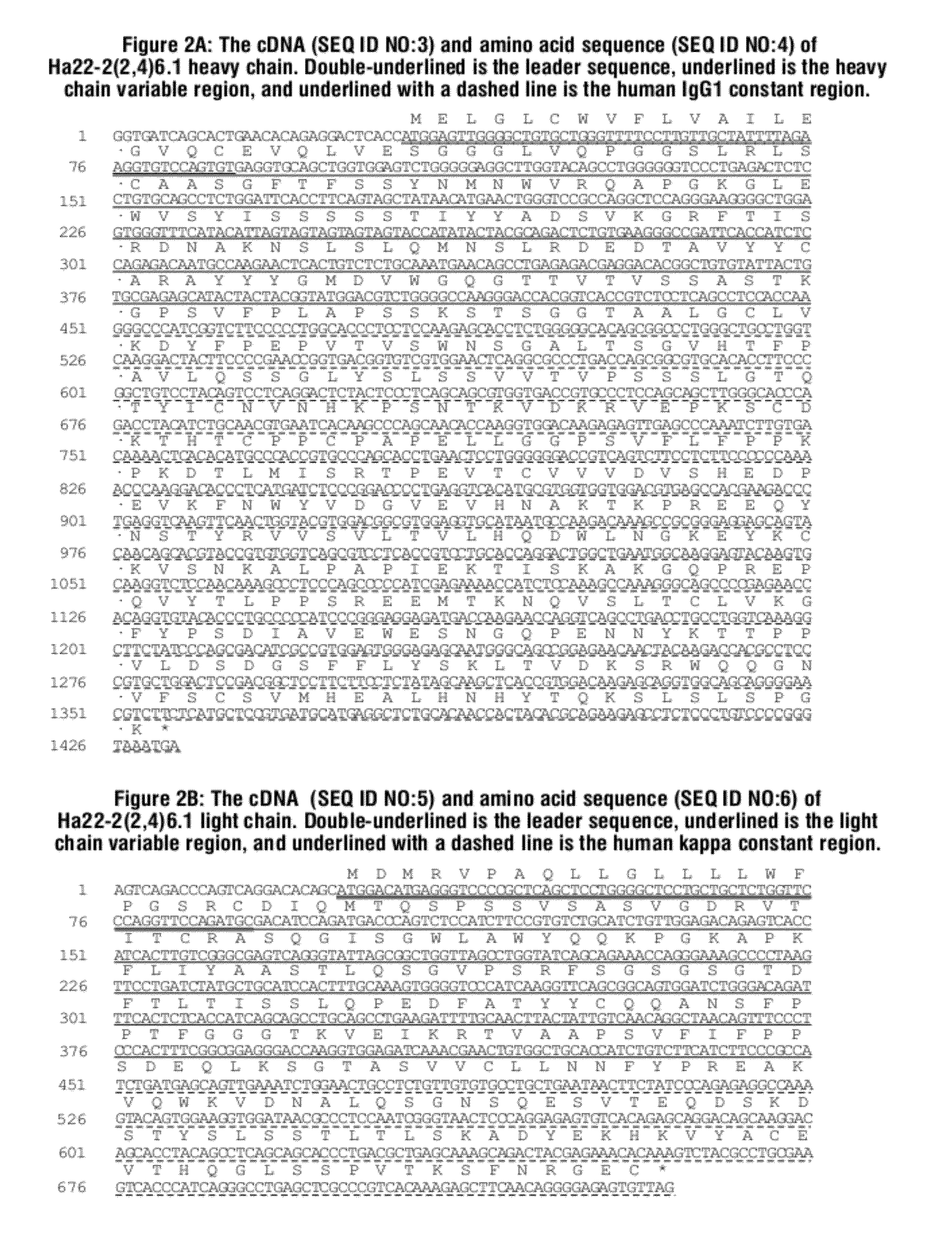 Antibody drug conjugates (ADC) that bind to 191p4d12 proteins