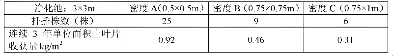 Method for remediating cadmium-contaminated soil by using Sweden energy willow No.2