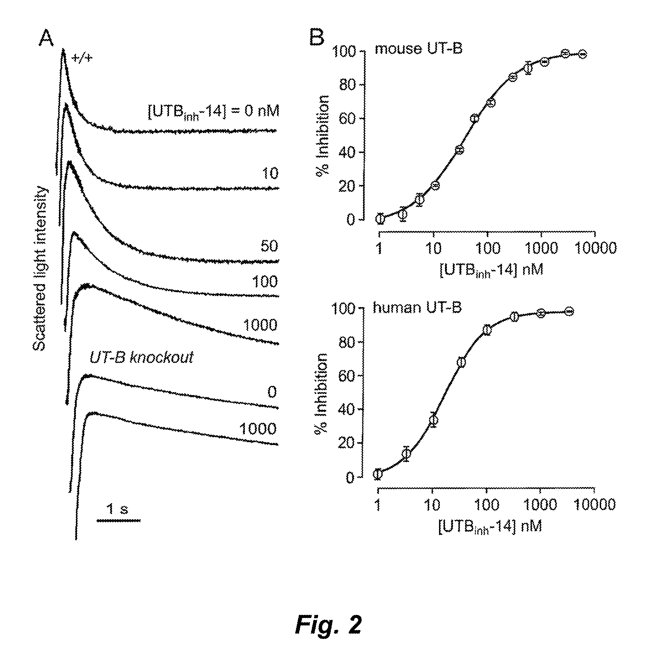 Triazolothienopyrimidine compound inhibitors of urea transporters and methods of using inhibitors