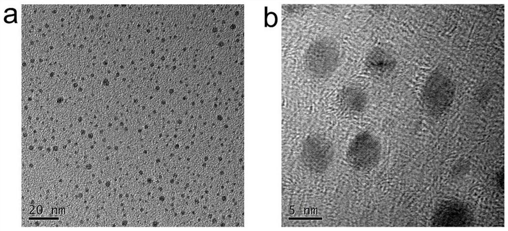 Modified vanadium carbide nanodot for chemical power and photo-thermal synergistic antibiosis as well as preparation method and application of modified vanadium carbide nanodot