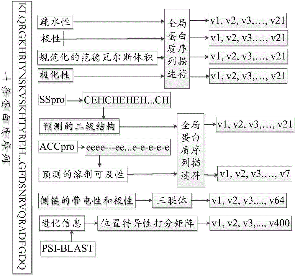 Method for predicting protein bound with ribonucleic acid