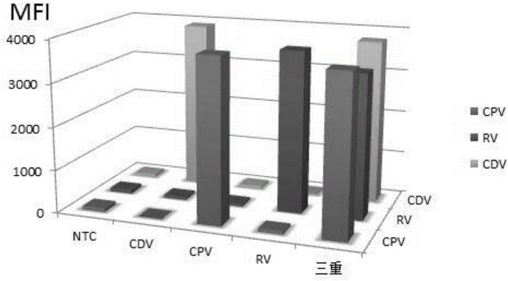 Multiple-FIA (fluorescence immunoassay) method and kit for quickly distinguishing CDV (canine distemper virus), CPV (canine parvovirus) and RV (rabies virus)