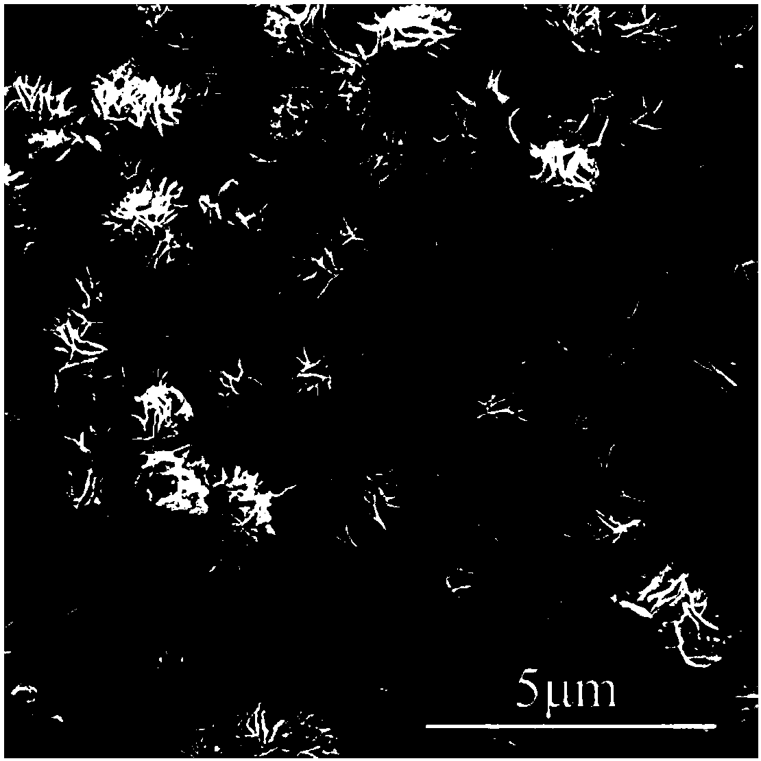 Preparation method of tungsten diselenide nanoflower