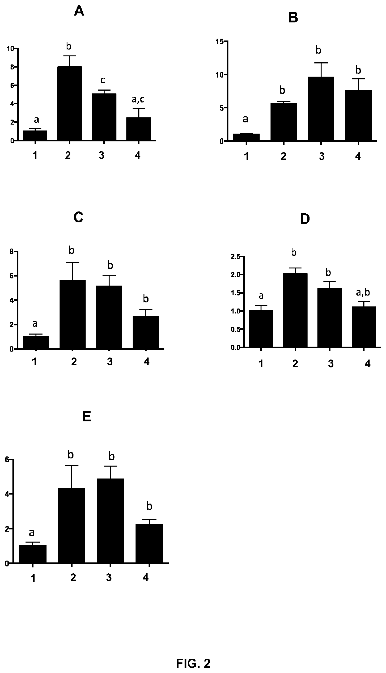 Topical compositions comprising extract of <i>Coriolus versicolor </i>for autoimmunity enhancement