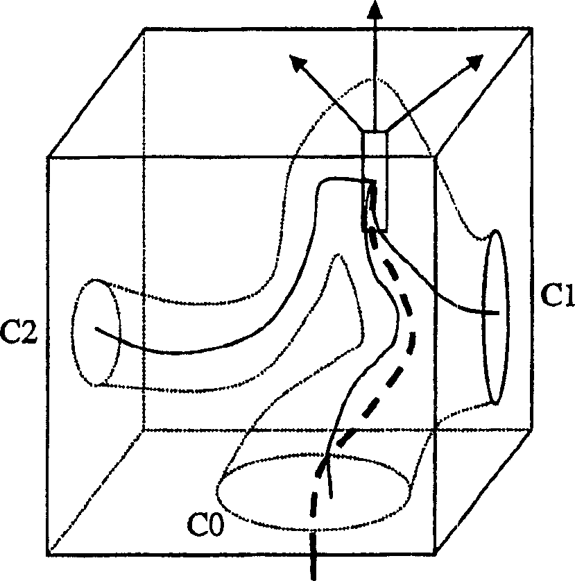 Method and apparatus for automatic local path planning for virtual colonoscopy