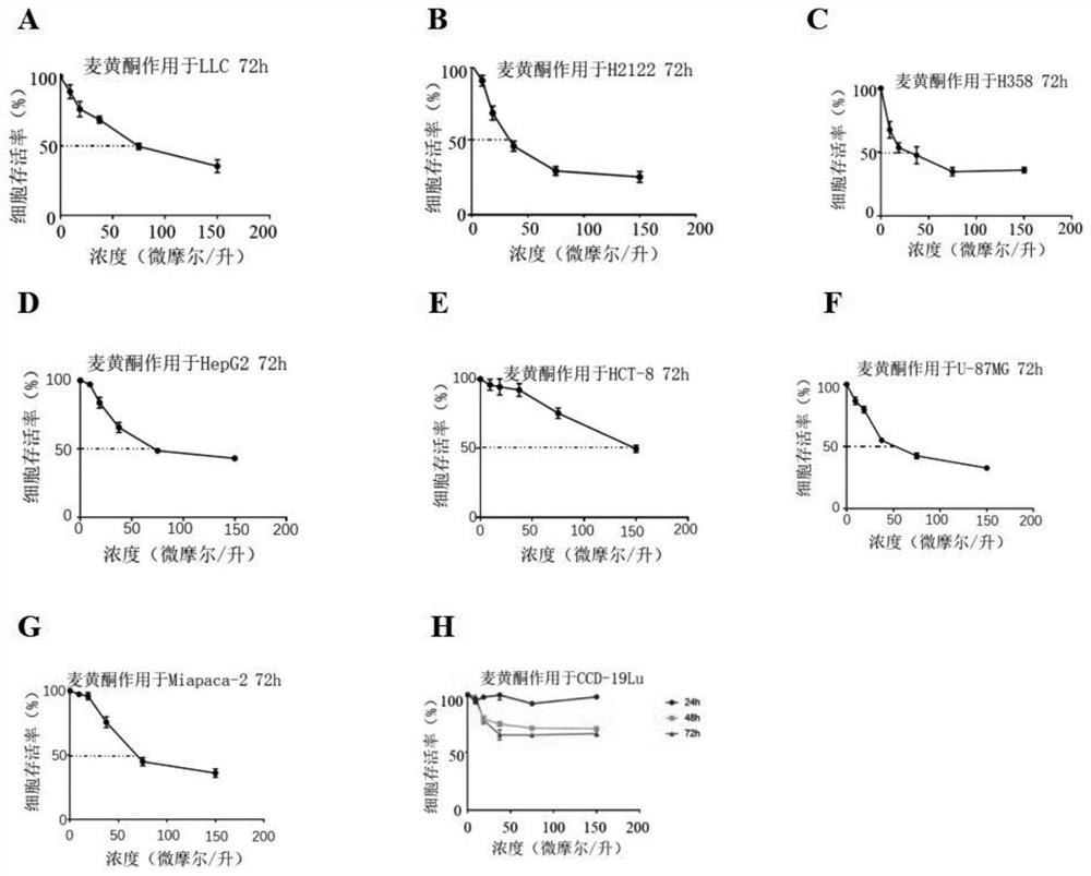 Application of wheat flavone in preparation of antitumor drugs