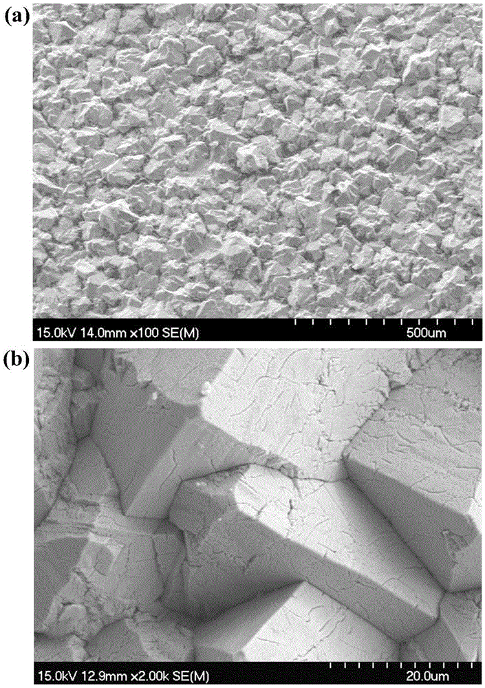 Method for degrading antibiotic pharmaceutical wastewater