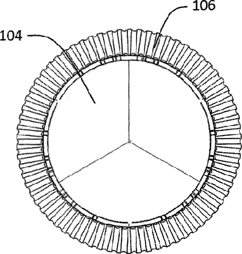 Aortic valve stent capable of preventing perivalvular leakage