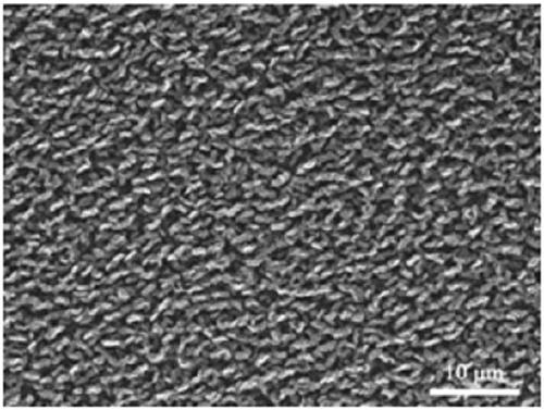 Preparation method of three-dimensional graphene with controllable distribution