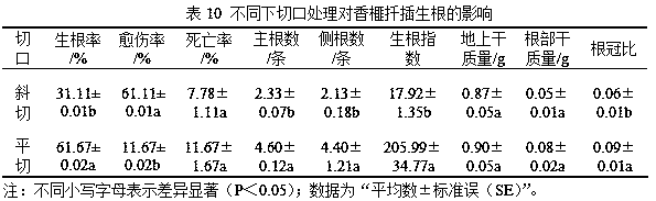 A kind of cutting propagation method of Chinese torreya