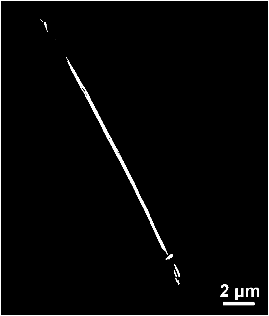 Two-dimensional material nanometer roll as well as preparation method and application thereof