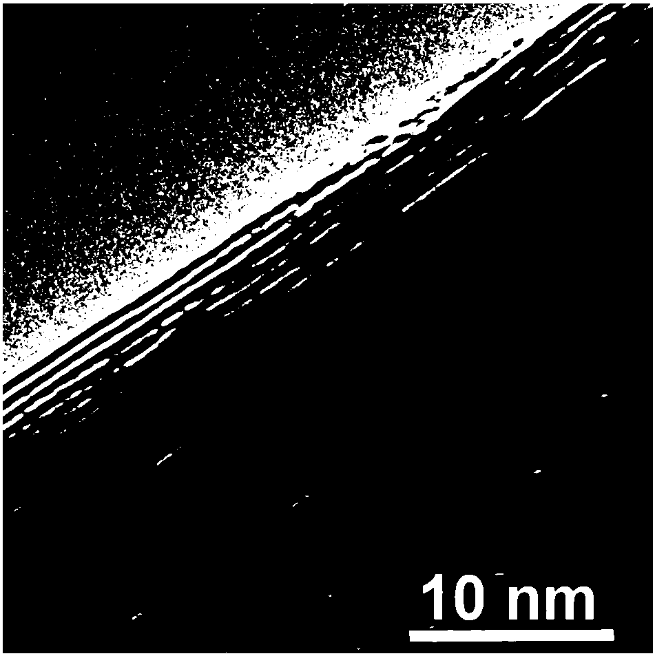 Two-dimensional material nanometer roll as well as preparation method and application thereof