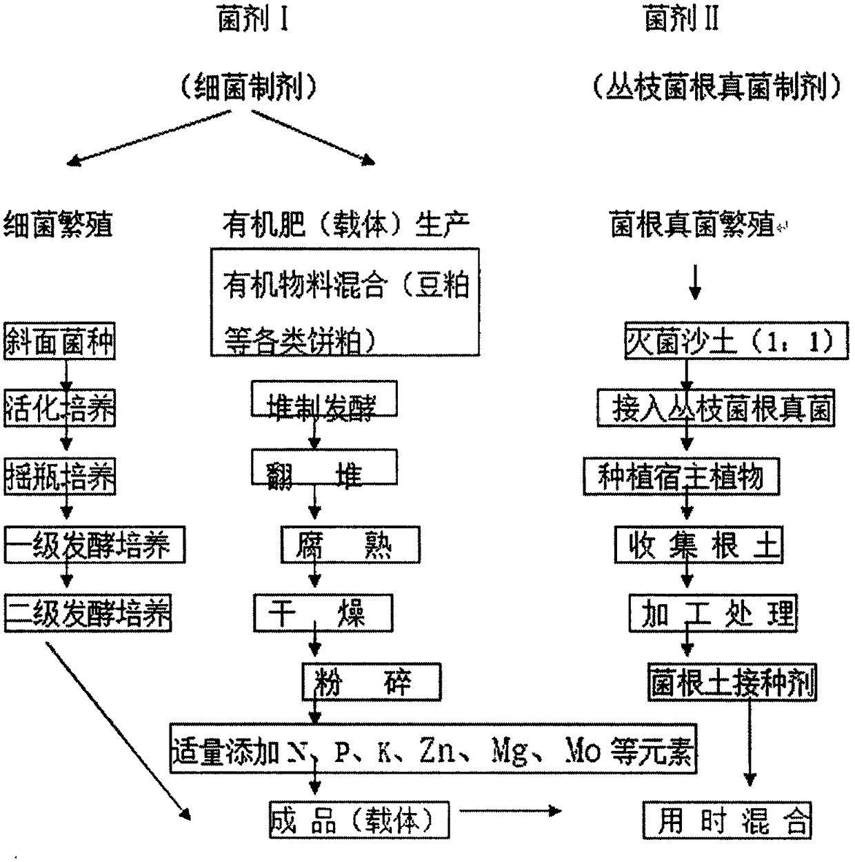 Biological fertilizer and preparation method thereof