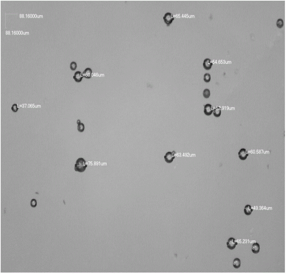 Taste-masking azithromycin pellet composition and preparation method thereof