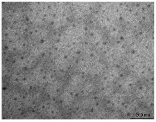 Method of detecting silver ions and serine based on mercaptosuccinic acid-modified CdTe quantum dot paper core sheet