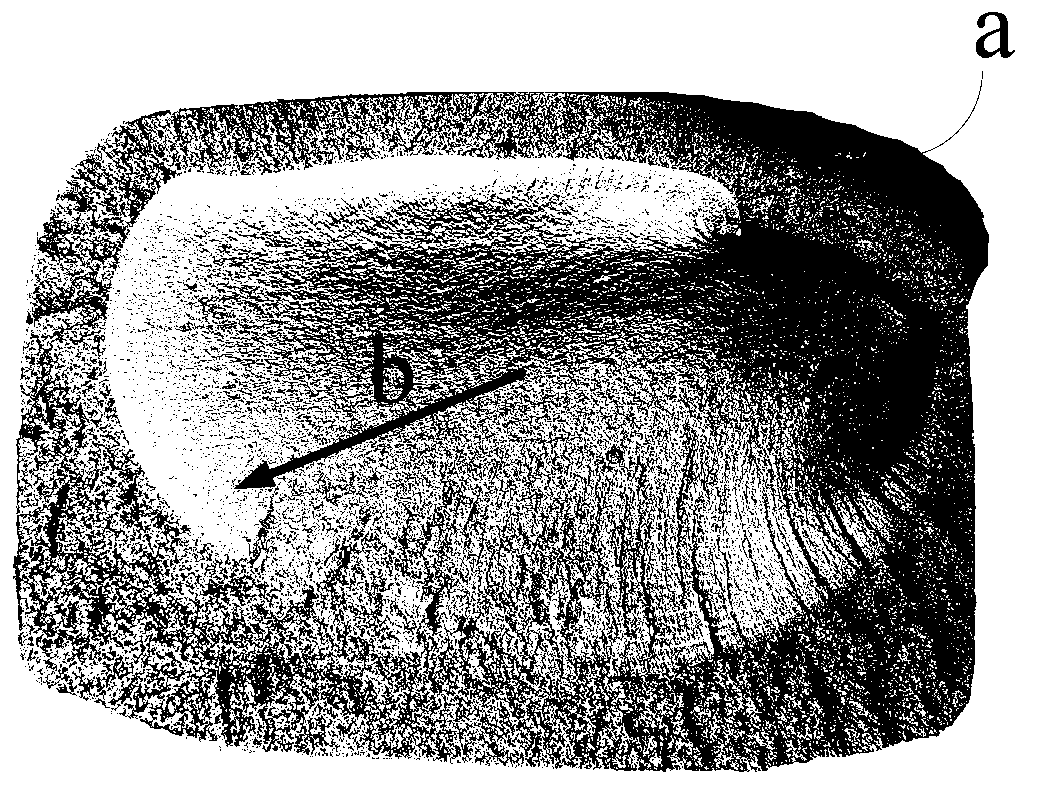 Longitudinal-transverse type core wound rail sampling and fracture analysis method