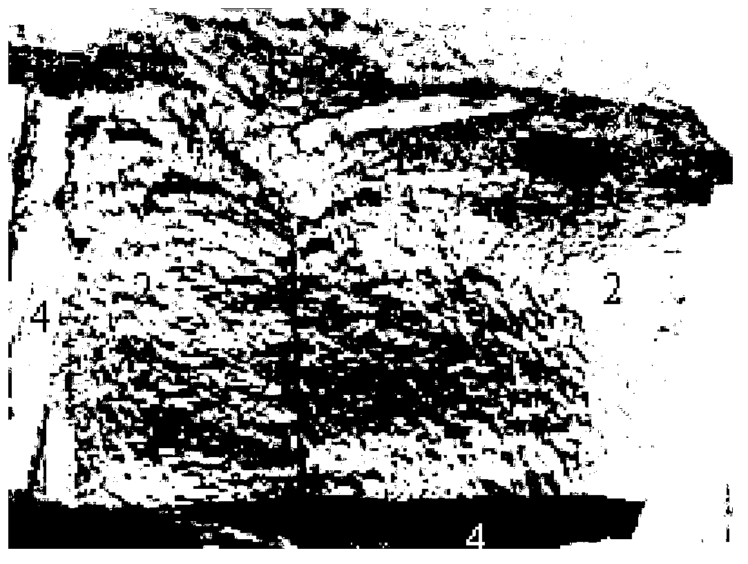 Longitudinal-transverse type core wound rail sampling and fracture analysis method