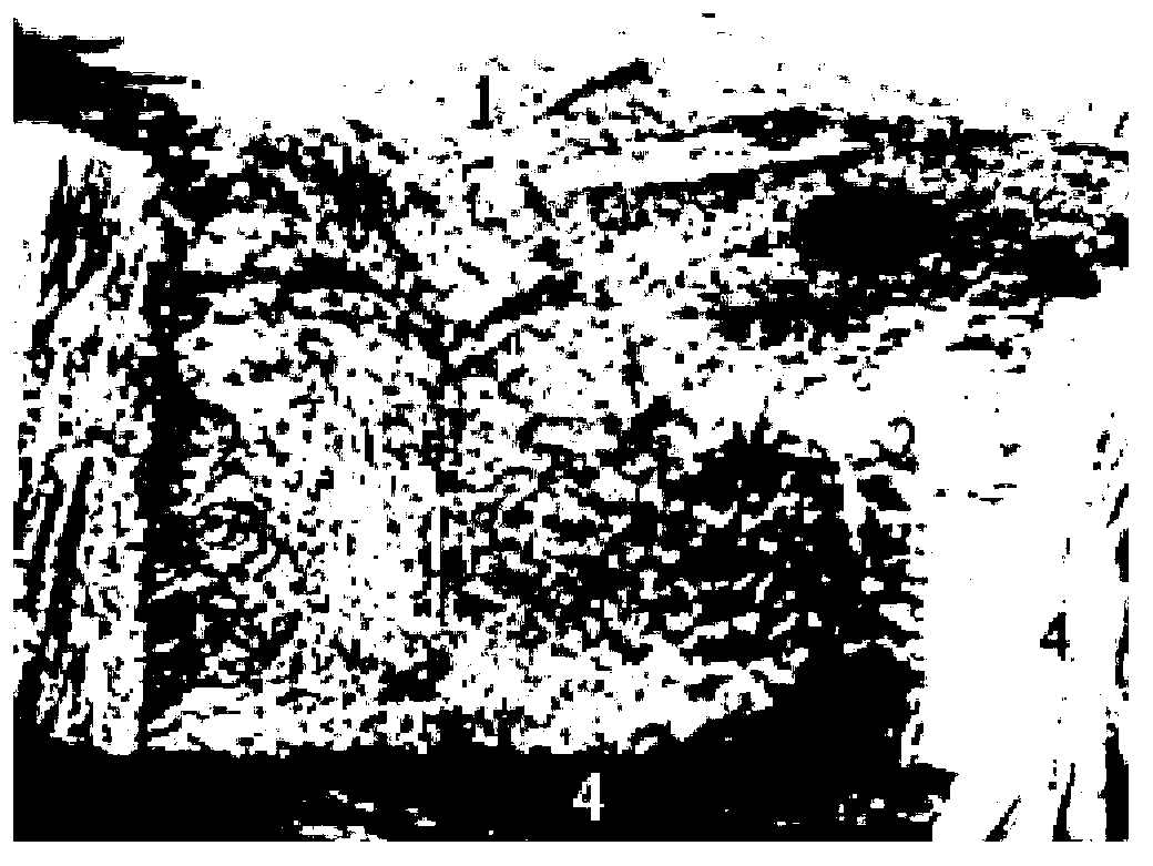 Longitudinal-transverse type core wound rail sampling and fracture analysis method