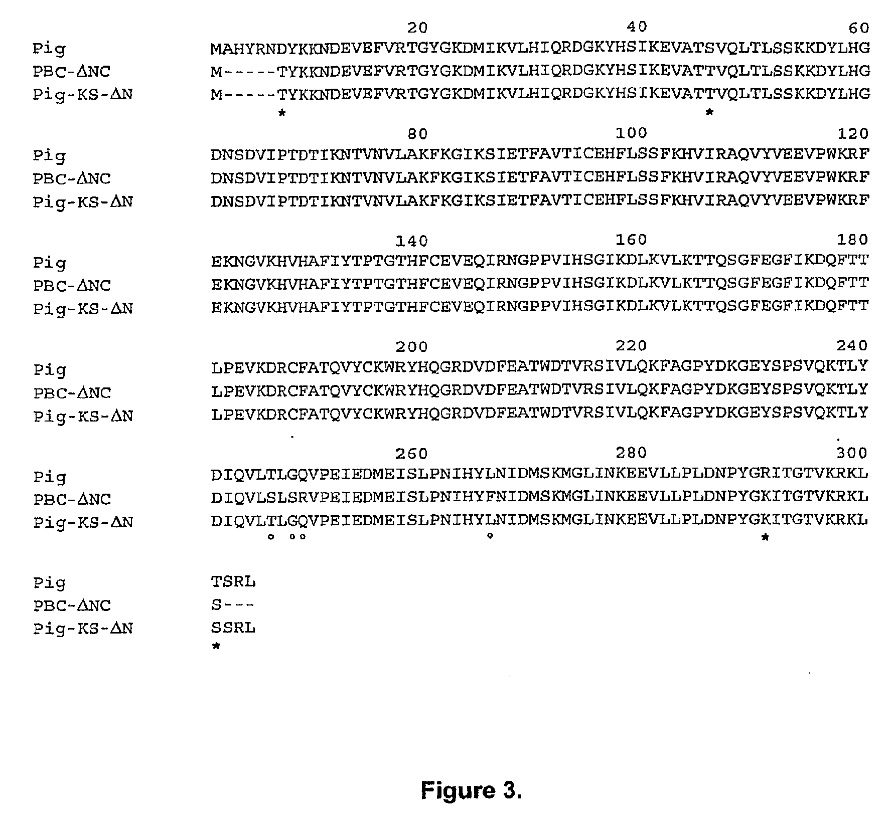 Variant Forms of Urate Oxidase and Use Thereof