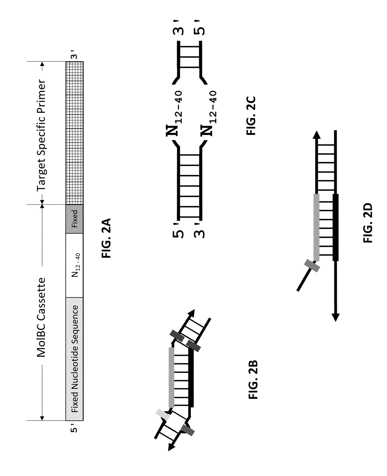 Methods and compositions for reducing redundant molecular barcodes created in primer extension reactions