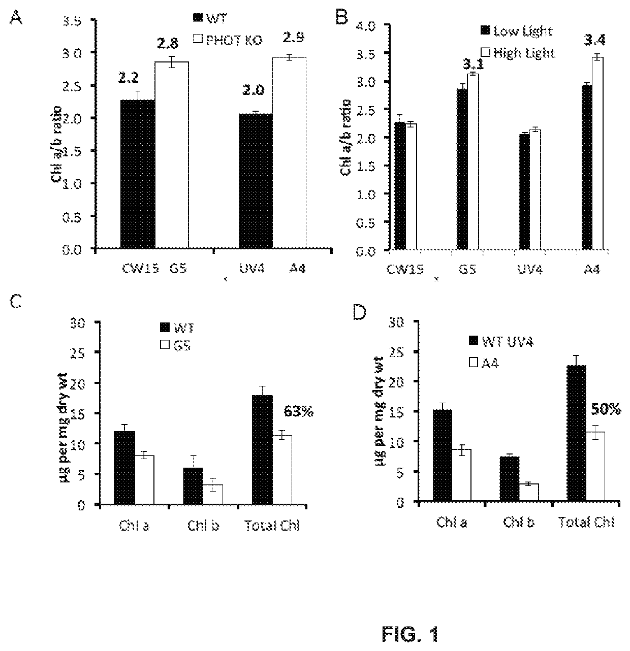 Productivity and bioproduct formation in phototropin knock/out mutants in microalgae