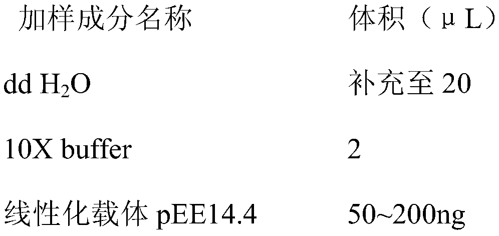 CHO (Chinese hamster ovary) cell strain with high-efficiency expression of CD2V protein of African swine fever (ASF)