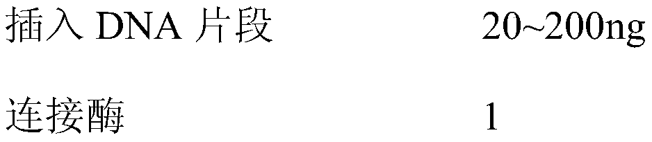 CHO (Chinese hamster ovary) cell strain with high-efficiency expression of CD2V protein of African swine fever (ASF)