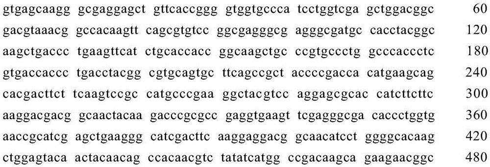 Multi-tag antigen, and preparation method and application thereof