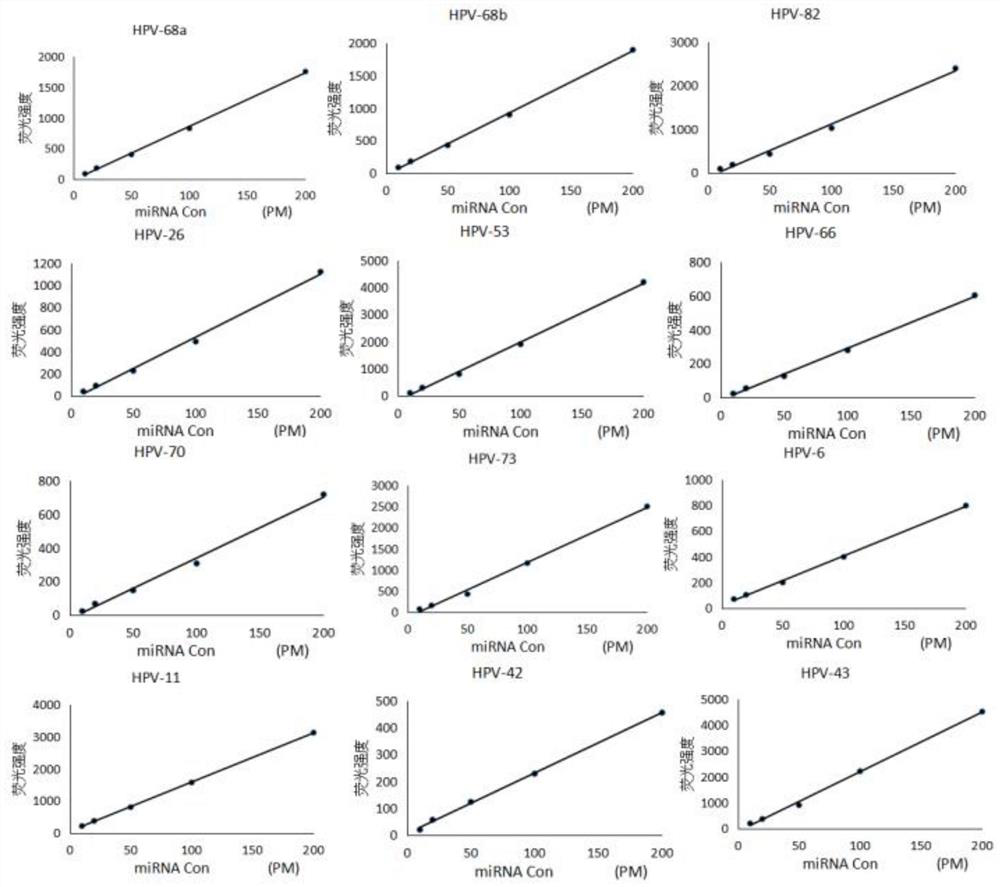 A rapid detection method, liquid phase chip and kit for human papillomavirus