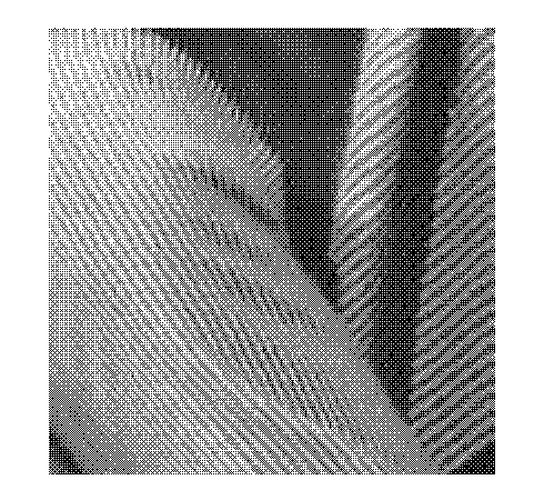 Image compression secure coding method based on multidirectional sparse representation