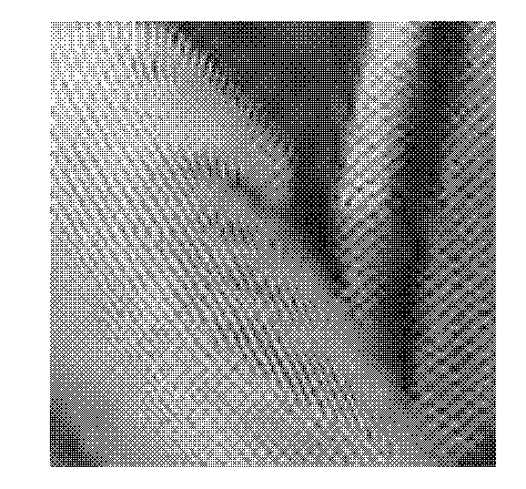 Image compression secure coding method based on multidirectional sparse representation