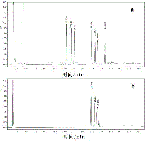 Preparation method and application of cordyceps active oligosaccharide