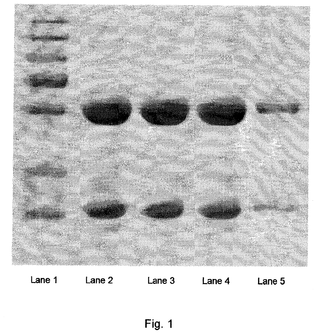 Pharmaceutical composition comprising glutatione disulfide and glutathione disulfide s-oxide