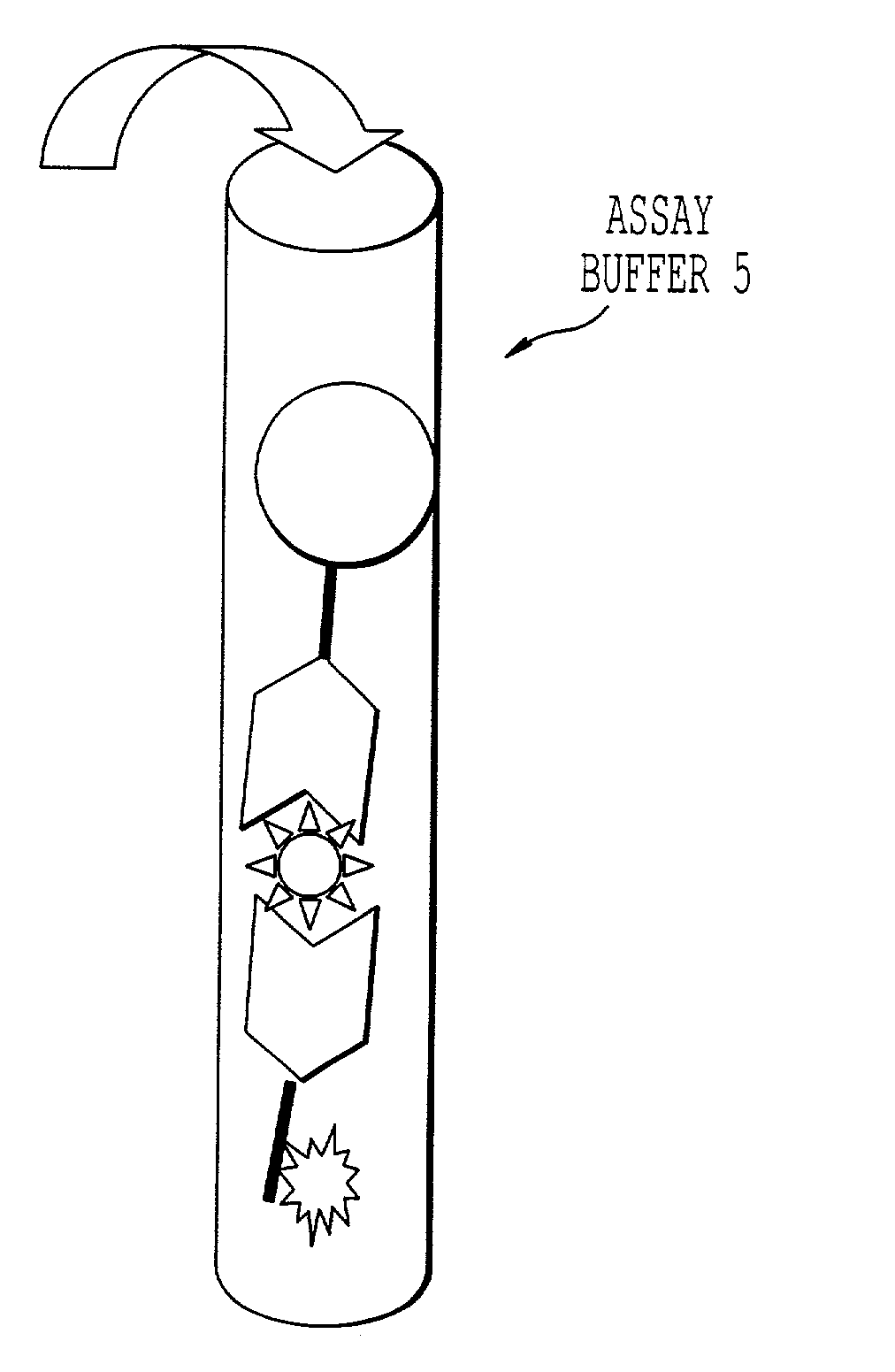 Immunoassay and reagents and kits for performing the same