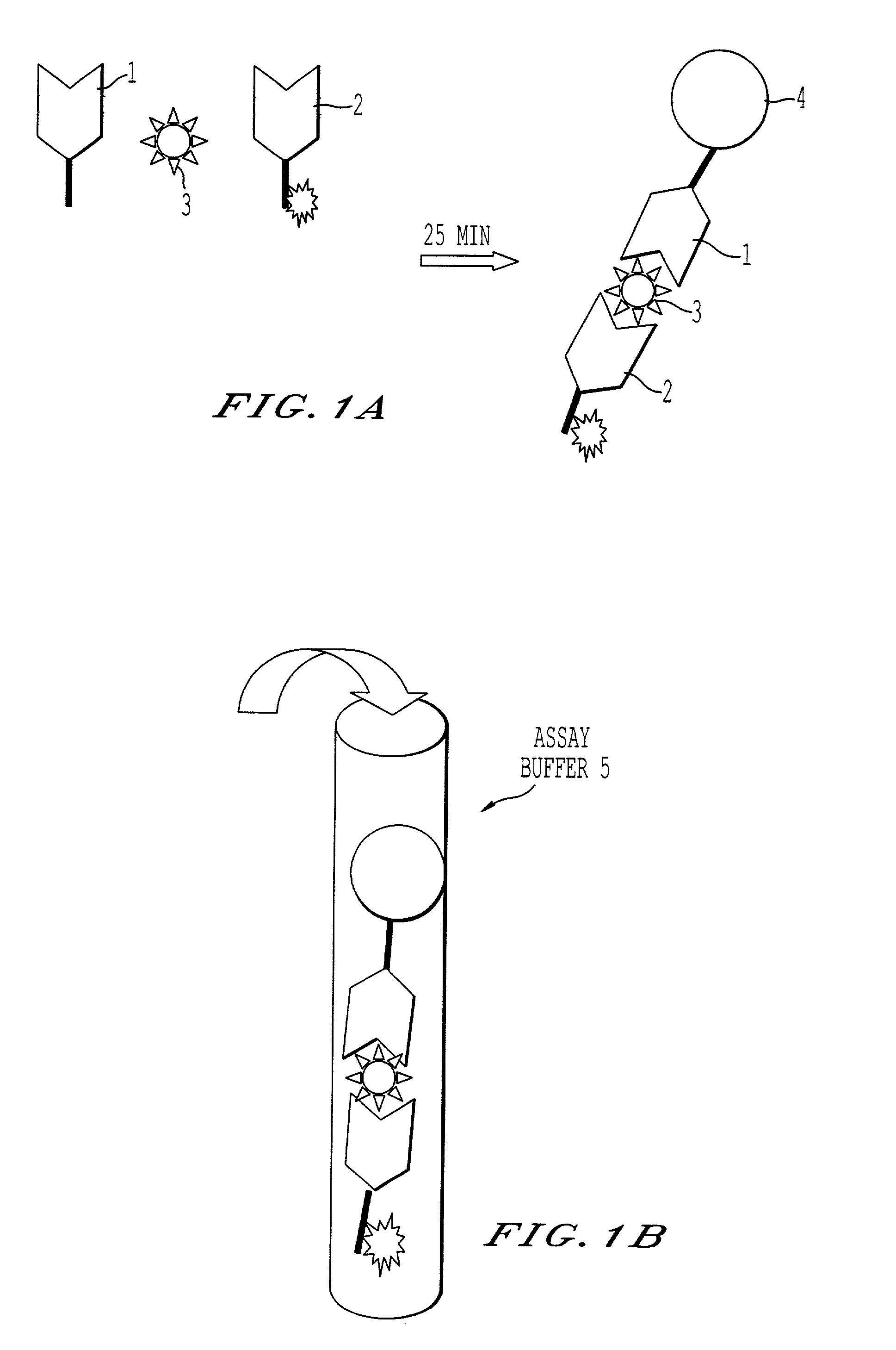 Immunoassay and reagents and kits for performing the same