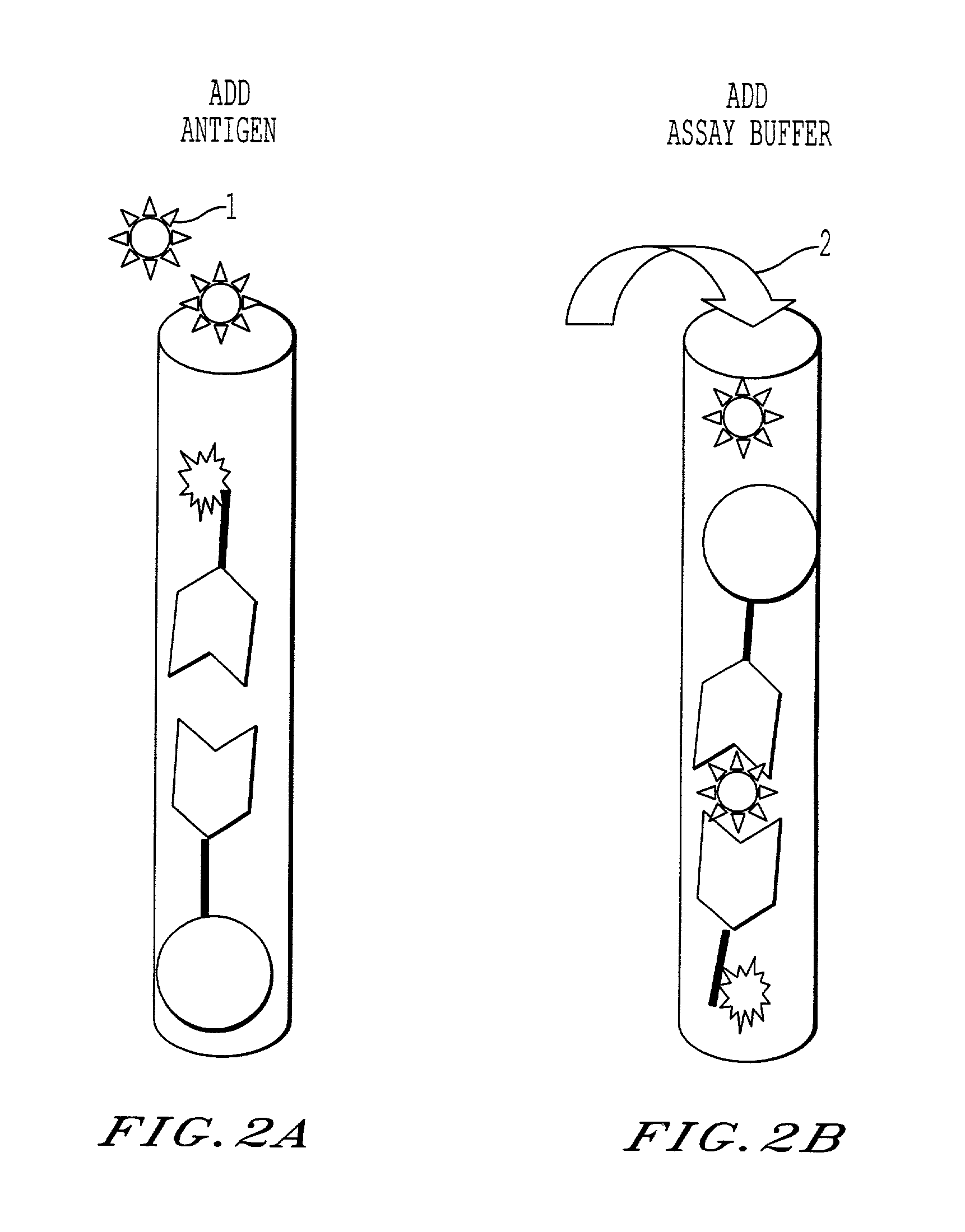 Immunoassay and reagents and kits for performing the same