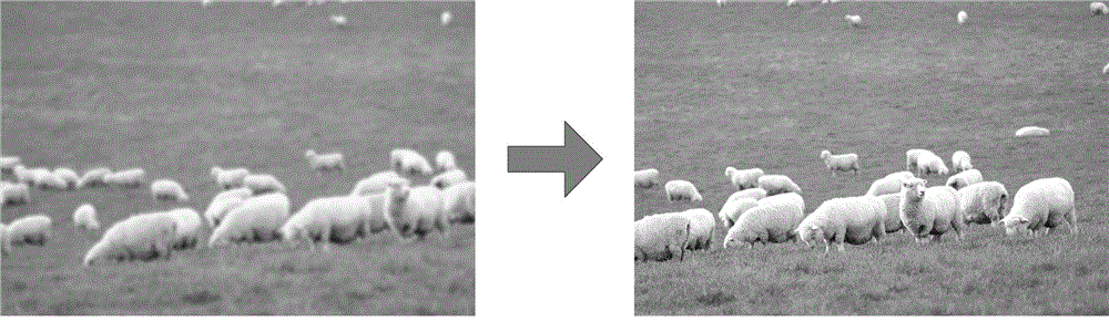 Smart pasture monitoring system based on beyond visual range video technology