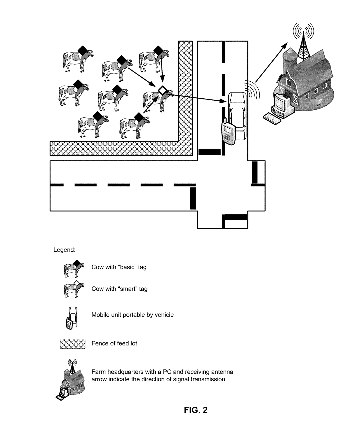 Cattle and other veterinary monitoring