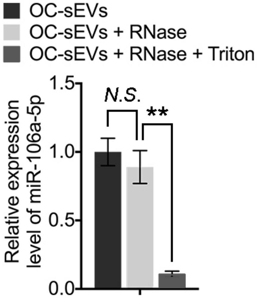 Application of miR-106a-5p simulant in preparation of bone defect repair medicine