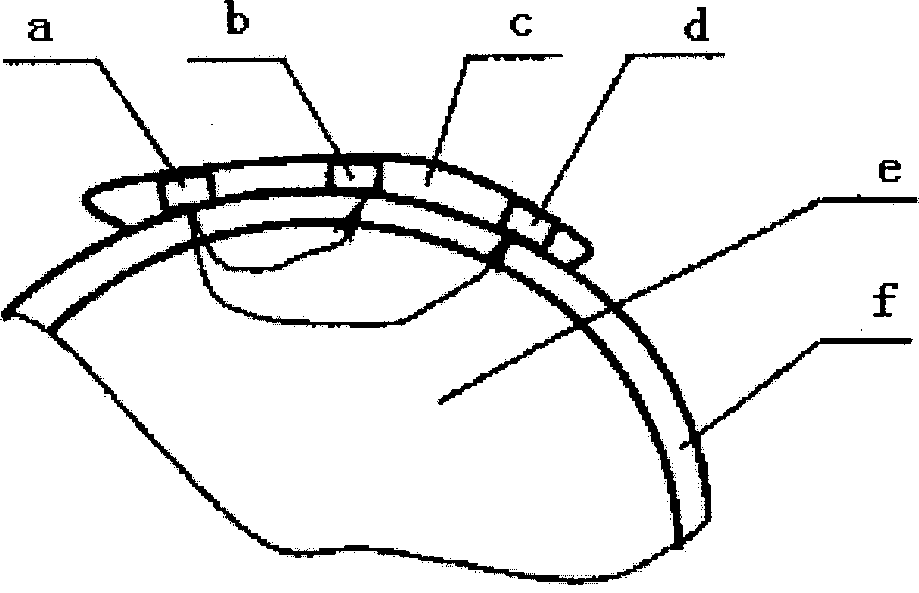 Method for testing absolute volume of concentration of oxidized hemoglobin and reduced hemoglobin in human tissue