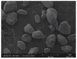 Sandy deposited particle distinguishing method