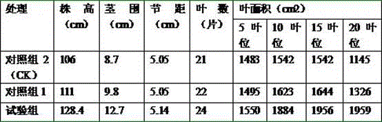 Bacillus laterosporus wettable powder preparation method