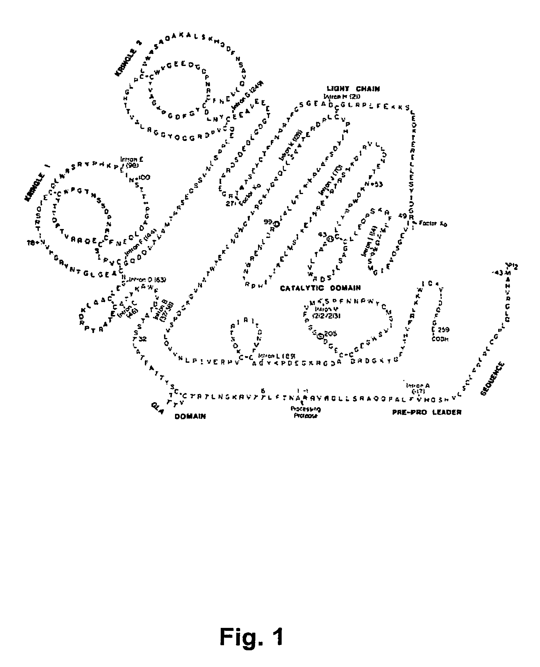 Method for the preparation of recombinant human thrombin and fibrinogen