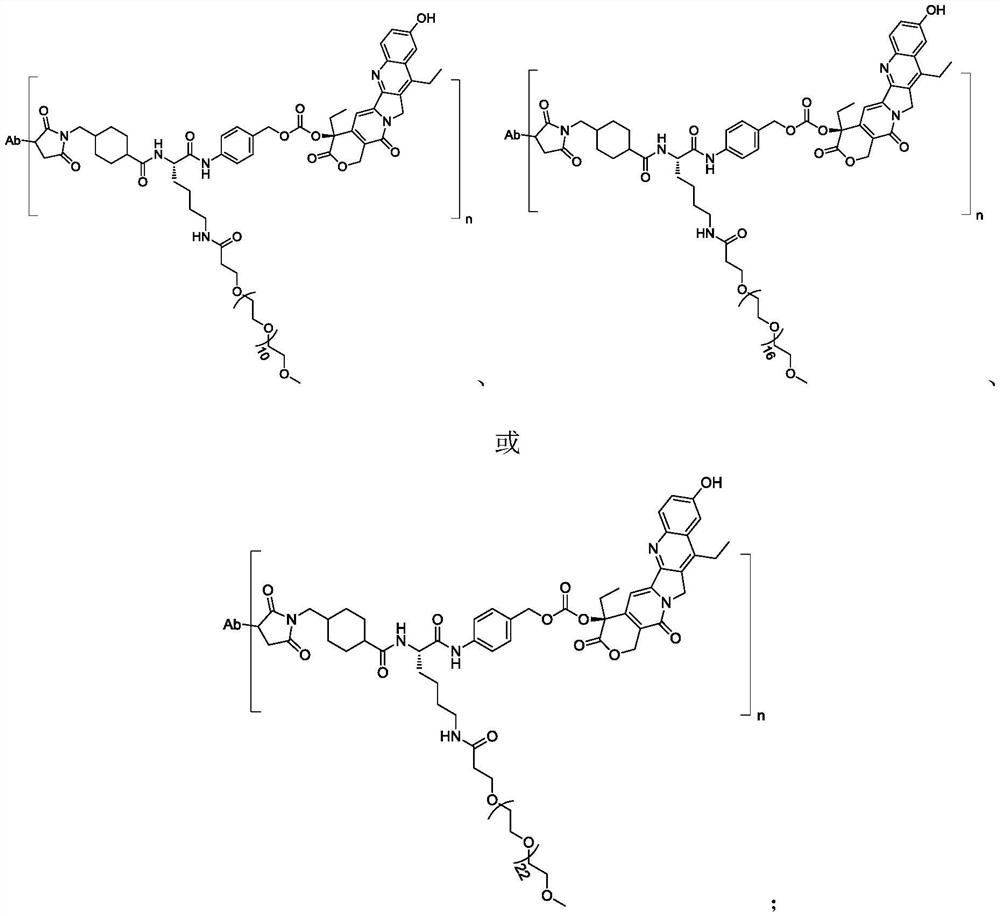 Antibody drug conjugate, an intermediate, a preparation method and application of antibody drug conjugate