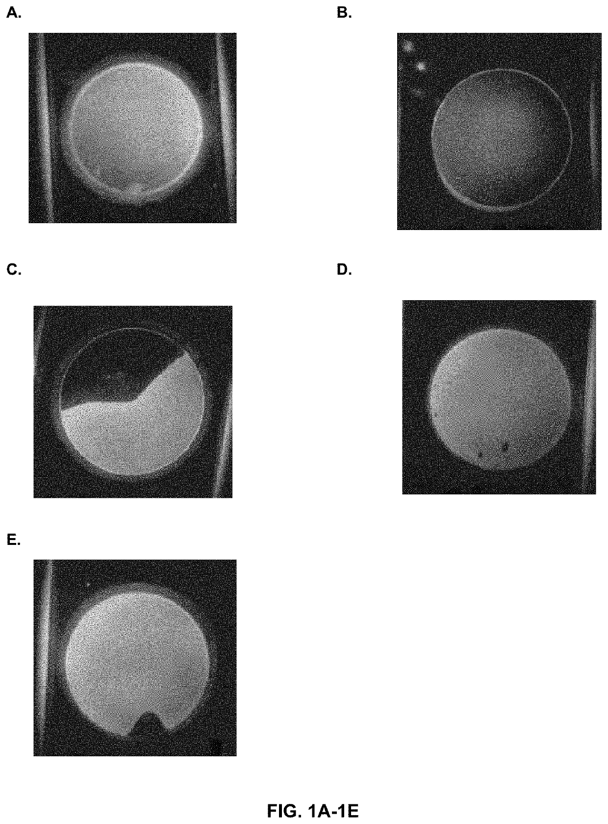 Process and premix for incorporating optical brighteners into a polymeric composition