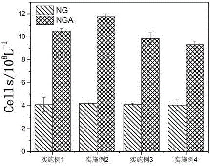 Acetylated naringin composition and medical application of composition in osteoblast proliferation